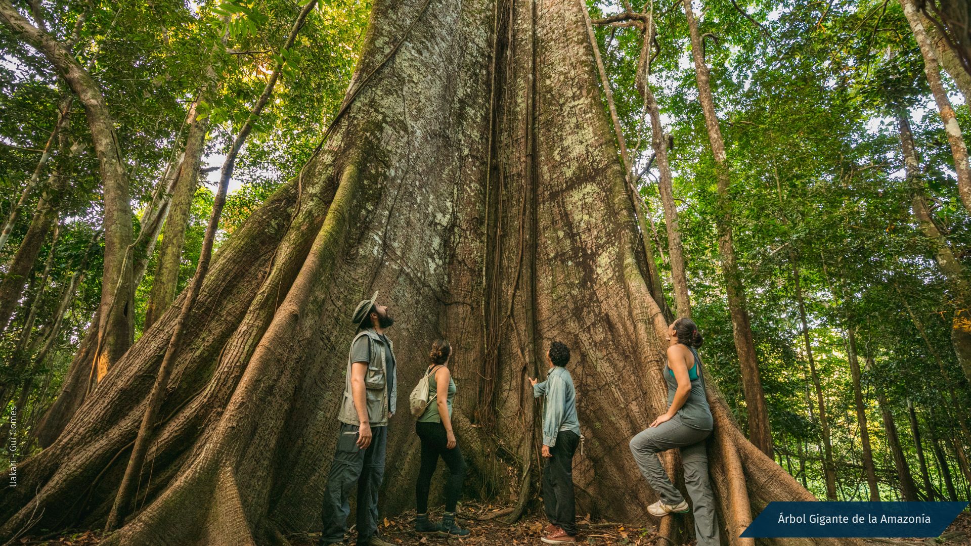 Inmersión en la Naturaleza de Brasil