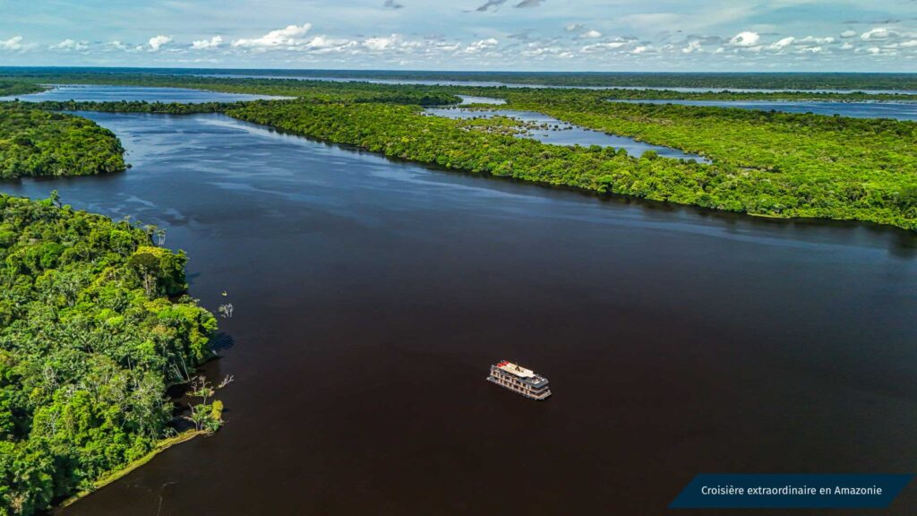 Immersion en Nature Brésilienne