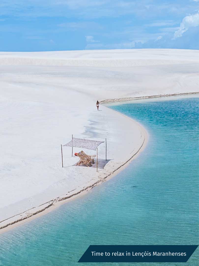 Immersion in Brazilian Nature