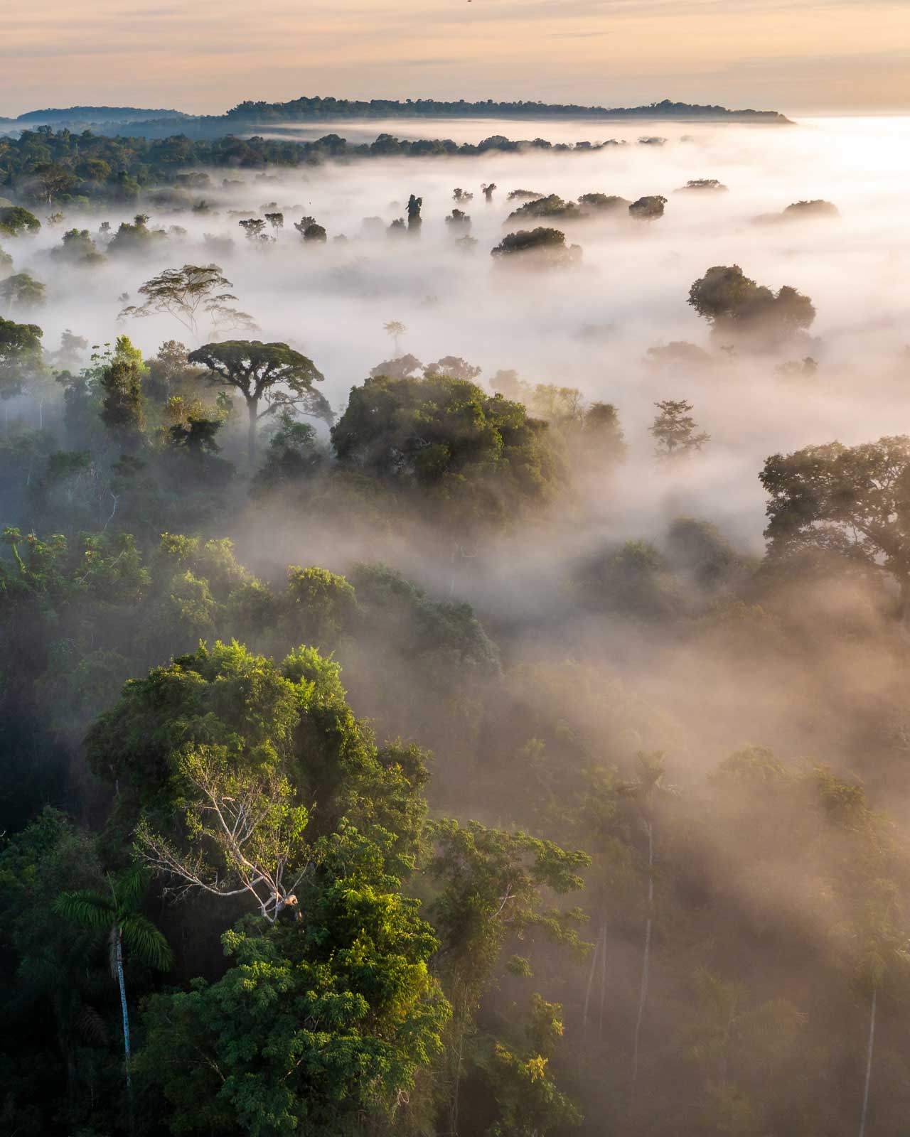 Amazon Flying Rivers Phenomenon
