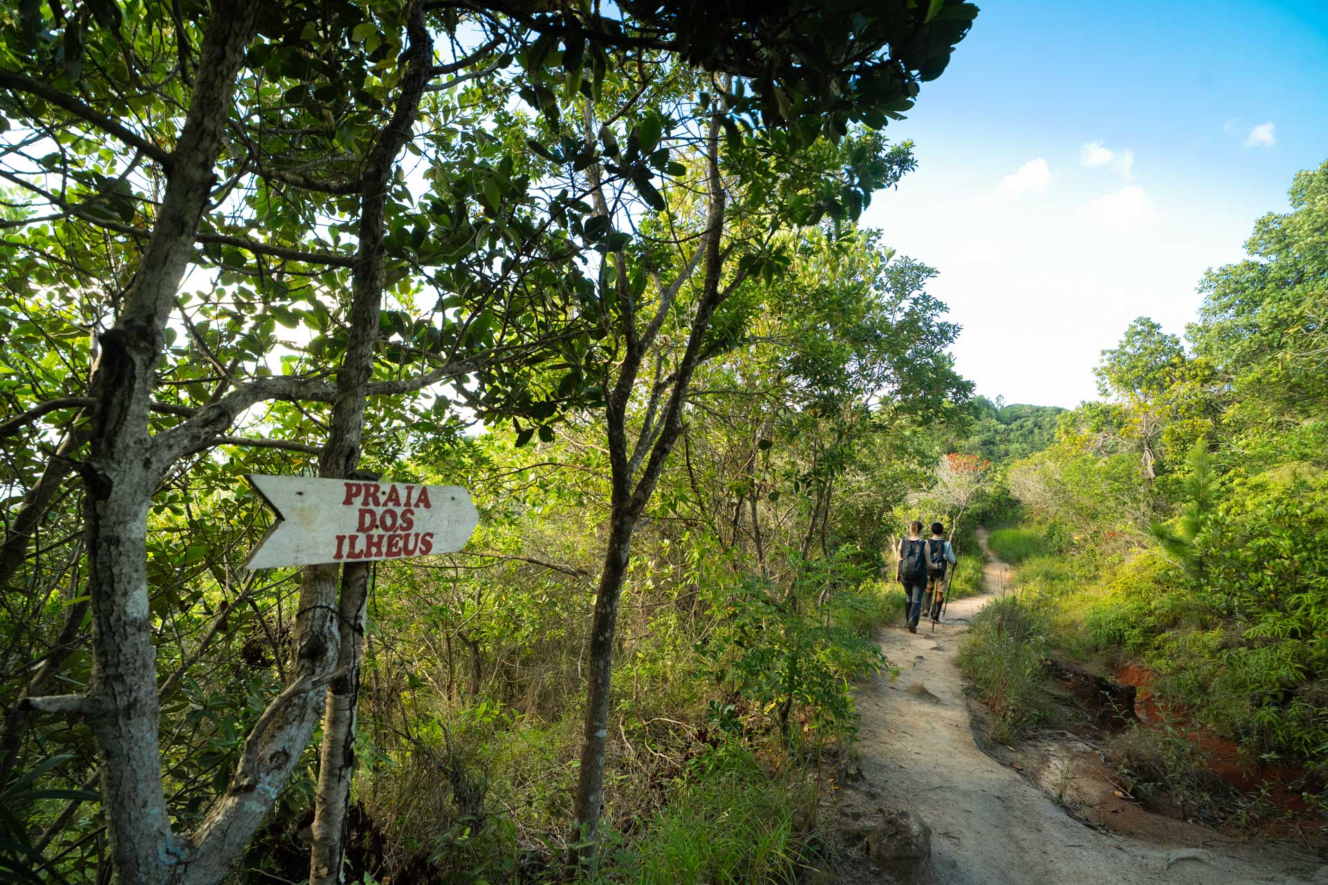 Brazilian Wellness Escape