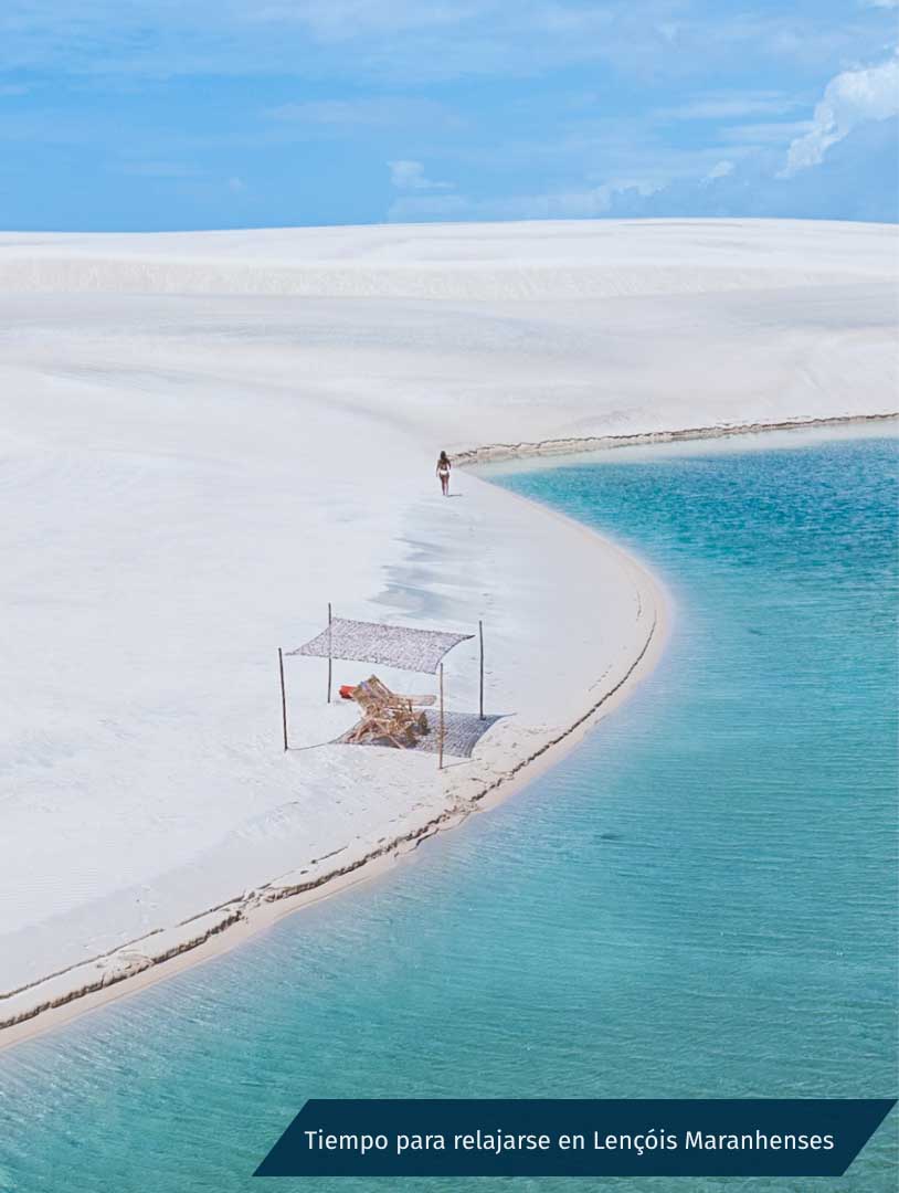 Inmersión en la Naturaleza de Brasil