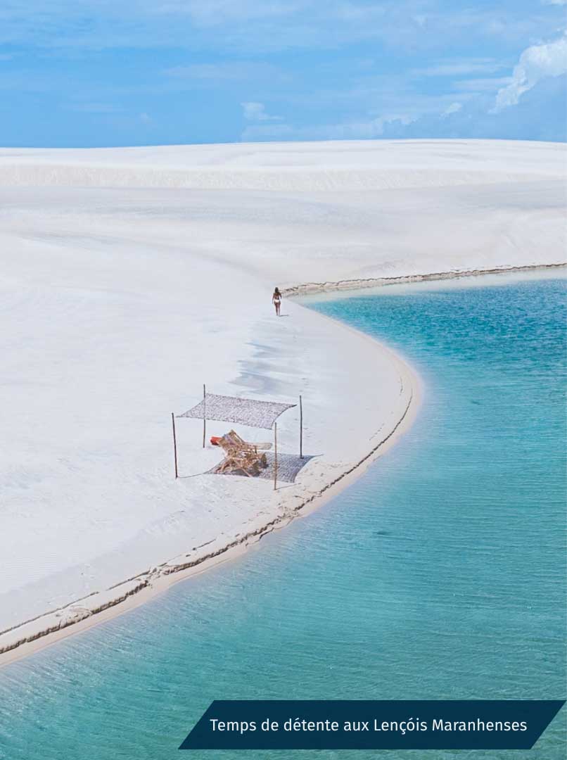 Immersion en Nature Brésilienne