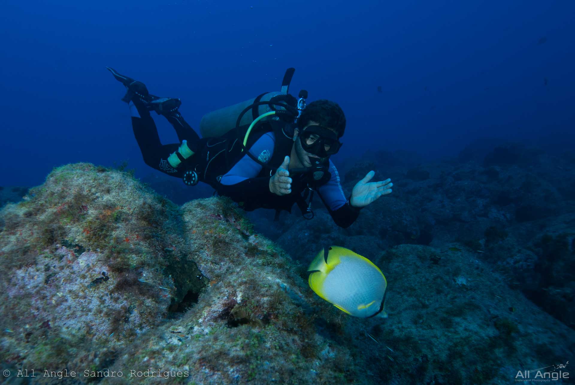 Noronha Ocean Diving Discovery & Exclusive Beach Moment