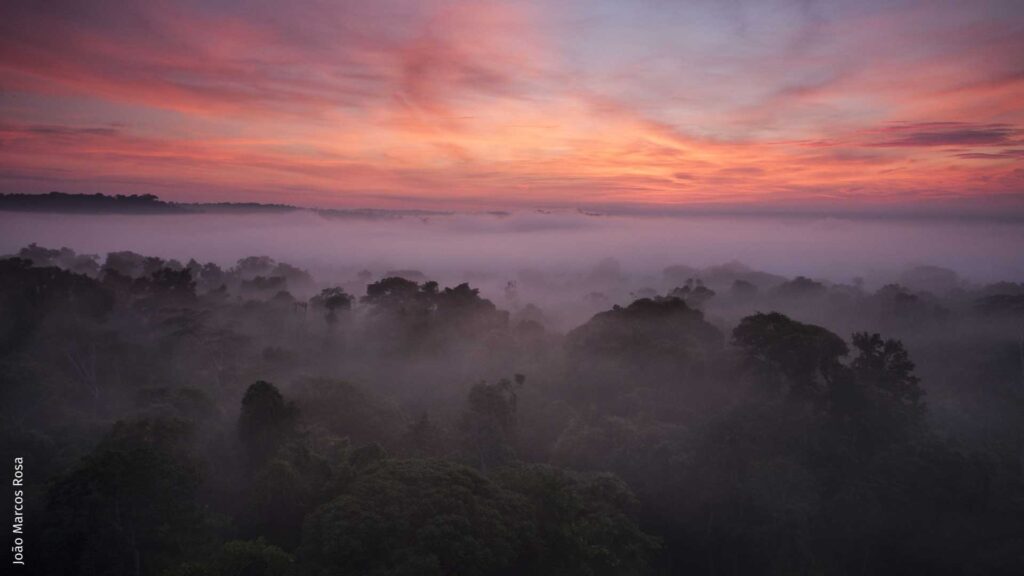 Amazon Flying Rivers Phenomenon